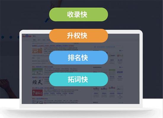 SEO专家揭秘：手动提交VS自然收录，哪种方法更有效？